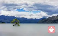 晨光温柔，湖水静谧，万物都在慢慢舒展。

生活总有细碎的烦恼与紧绷的情绪，不必着急追赶，也不用强迫自己自愈。

允许一切缓慢发生，接纳当下的所有情绪。新的一天，静下心来，与生活温柔相拥✨配图