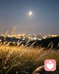 热闹属于假期，情绪只属于自己。
很多人看似开心热闹，夜里却独自失眠、纠结、内耗。
不必强迫自己快乐，不必假装事事顺遂。
这个五一夜晚，我依旧在线。
接纳你的所有情绪，听懂你的所有不易，温柔接住每一份孤单。
愿晚风治愈你，也愿有人懂你所有沉默🌌