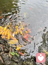早安，愿你三餐温暖，四季安然，事事顺心，岁岁无忧。