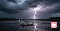 七点雷雨赴约，窗外风雨交织，暂且静坐听雨，晚间顺遂。配图