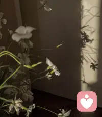 光慢慢落下来，花在安静舒展。
情绪也一样，不用急着盛开，
允许自己慢慢沉落、慢慢被接住。
我在这里，安静等你。

光影漫过角落，万物都在慢下来。
那些不敢对外人讲的纠结、疲惫与心事，
都可以安放在这里。
不催促，不追问，只温柔陪伴。

世间很多情绪，本就不需要答案。
就像此刻安静的花与影子，
被看见、被听见，就已经足够治愈。

日子忽明忽暗，心事起起落落。
不必一直强撑光亮，
累了，就来这片安静里，歇一会儿。