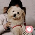 好运要一直黏着我的头像