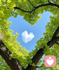 生活不必匆忙追赶，日子自有温柔光亮。愿我们永远心怀热忱，不纠结过往，不焦虑未来，在平凡的时光里渐渐沉淀，好好生活，慢慢发光。保持善良与纯粹，接纳所有遇见与成长，把日子过成自己喜欢的模样，不负韶华，不负自己，永远热泪盈眶。配图