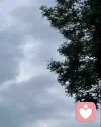 今日北京天宇沉沉，满目灰蒙，无法控制想念天堂的父母，只有失去至亲的人才懂这种窒息的想念和剜心的痛。爸爸妈妈走后，我彻底不再拥有孩子这个身份，也失去了理直气壮撒娇的权利，夜晚开始习惯仰望天空，去找那最亮的两颗星星默默含泪微笑。快乐的时候会想，如果爸爸妈妈在就好了，难过的时候更想，如果爸爸妈妈在就好了。我亲爱的朋友们，请在来得及的时光里好好珍惜和父母的点点滴滴，好好爱他们，多多陪伴他们，带他们去看美景、吃美食，哄他们开心、多一点耐心…因为有父母陪伴的时光是一生中最美好的时光！配图