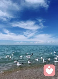 云落湖面，风过旷野，把心事还给过往。