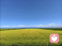 云落湖面，风过旷野，把心事还给过往。