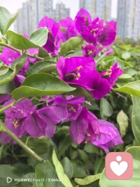 你真心待人，是你的教养、你的善良、你的选择；别人不珍惜、不回馈真心，是他的格局、他的问题，不是你做得不够好。不要因为别人的凉薄，就丢掉自己的真诚。善良本身没有错，只是要分清，该给谁。