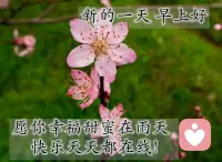 离婚了三年了 一个人挺好的后悔离太晚了配图