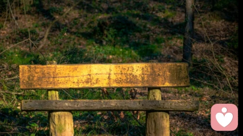 我是你的倾听者