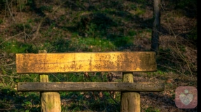 我是你的倾听者