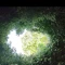 21458887
