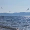 可言浅浅倾听