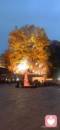 无尽的黑夜，仅需一点点光，就能照亮前行的路
       语言，文字，声音都可以是那黑夜里的光配图