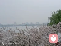 不用时刻懂事，
不用强迫自愈，
你所有的情绪，
都值得被好好接纳配图