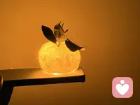 无需焦虑，冷静下来之后你会发现这是上天给你的奖励，我会把它放大再放大配图