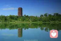 真正的智慧，不在于知道多少，而在于明白何时该放下，何时该坚持。配图
