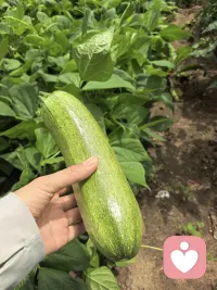 丰收的喜悦