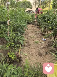 来浇灌小菜园，期待下个月的丰收
