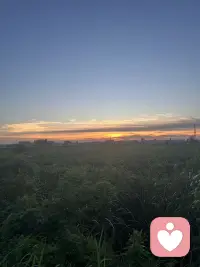 不用见面，不用寒暄，做一个温柔的倾听者，治愈别人，也治愈自己❤️配图