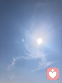 向人间释然，向星辰归期
 
偶然窥见一段关于生命与宇宙的文字，浮躁的心瞬间沉静下来，心底攒了许久的执念与纠结，也悄然化作释然。
 
人这一生，起落浮沉皆是常态。我们奔波于世，执着于得失、纠结于别离、困顿于遗憾，总以为圆满才是归宿，圆满才是答案。却忘了人生本就是一场单向的旅途，有繁花似锦的热烈，就有落叶归根的平静，有顶峰相逢的欢喜，亦有低谷独行的从容。花开花落，四季轮转，世事变迁，生死更迭，都是万物不变的自然规律。
 
从前总畏惧生命的终点，害怕离别，恐惧消散。可读懂宇宙的温柔真相，便懂生命从无真正的消失。我们的肉身、骨骼与温度，皆由亿万颗原子组成。这些微小的粒子，穿越几十亿年的时光，来自浩瀚无垠的星河，散落山川湖海，最终拼凑成独一无二的我们，让我们得以在人间游历一场，感受烟火人间，体验悲欢离合。
 
纵有一日，我们告别尘世，肉身归于尘土，却从未真正消散。组成我们的原子不会湮灭，只是褪去人间的模样，换一种温柔形态，重回天地之间，随风流转、随山海共生，融入草木星辰，藏于日月山河。
 
我们本是宇宙尘埃，偶然落于人间，历经岁月洗礼，终又归于漫天星辰。所谓落幕，不是终结，而是归途。
 
人生不必耿耿于怀，不必困于遗憾。坦然接纳起落，从容面对归途，不负当下，随心而安，便是生命最好的模样。配图