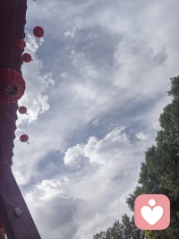 下班路上的花花草草，蓝天白云，真的能治愈一天的疲惫呀～配图