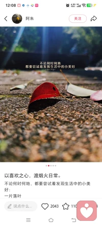 周末的中午，阳光正好，心事却有点乱。
没人倾诉、没人理解、没人懂你的委屈，都可以来找我。
不评判、不打断、不泄露，安安静静听你说，陪你缓一缓。配图