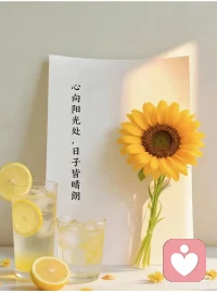 早安🌻向阳而立，逐光而行配图
