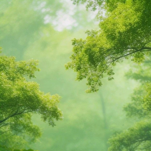 暖棉棉