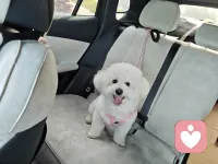 它怎么这么可爱！！