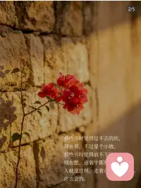 给自己一点时间👉你一定会🤓越来越好😇配图
