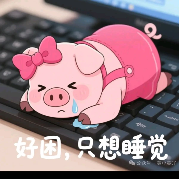 圈圈倾伴