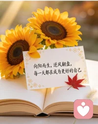 我是知拧，愿以温柔之心，倾听时间心事。心有安宁，万事温柔，慢慢来，一切都会慢慢变好。