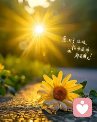 我是知拧，愿以温柔之心，倾听时间心事。心有安宁，万事温柔，慢慢来，一切都会慢慢变好。