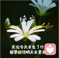 人生的低谷越低，高光时刻就越高！正如没有黑夜，就显不出星辰的璀璨。经历过深度挫败，痛苦或平凡后取得的成功，那种反弹的喜悦和成就感会格外强烈，这也是为什么很多名人传记里最打动人的，不是他们的成就本身，而是他们从多深的泥潭里爬了出来。用尼采的话呼应就是杀不死我的，必使我更强大！配图