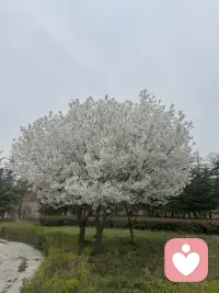 走自己的路，守自己的心，活自己的人生，一生所求，不过健康，快乐，家人安康，其余一切，看开，看淡，顺其自然，远离让你不开心的人和事，慢慢你会发现，干净的语言，变小的圈子，自律的生活，独处的时光，最让人舒心……..