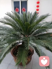 - 我是你的专属倾听陪伴者。请不必独自承担所有情绪，我将以专注与共情，接纳你的每一份感受，陪你走出情绪的低谷。配图
