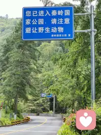 人生哪能没遗憾，好事坏事到头来都是往事，美好的叫精彩，糟糕的叫经历，你不必原谅一切，但要学会放过自己。配图