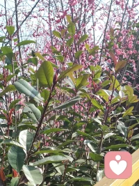 心门开，家门开，过往往事不纠结，周遭是非不纠缠，心中执念全放下，家庭内耗尽消散，中央本正中，家人不攀比，不猜忌，不内耗，心宽路就宽，家和福自来配图
