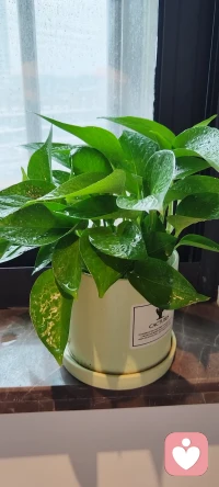 把每一天都活成礼物，我们一起把生命力养起来。