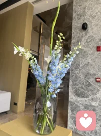 所有花都为你开，所有景物都为了你安排。配图