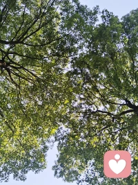 少与人纠缠，多看大自然。