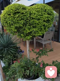 愿你拥有无量的健康，愿你拥有无量的智慧，愿你拥有无量的财富，以利益无量的众生。