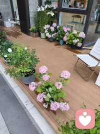谁是你枕边的书，笔下的字，杯中的酒，阳台的花，傍晚的夕阳?