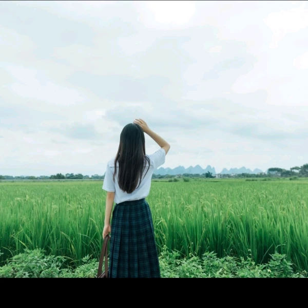 星星伴月