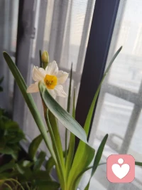 今天听到一个老师讲，恋爱脑需要纳入医保，非常认可，我得记下来😊配图