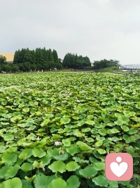 向外求，求而不得，向内求，生生不息。
百无一用是深情，苦海无边，回头是岸。
