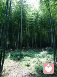 在自己的剧本里的当主角，不在别人的剧本里当配角。