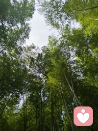 我轻松愉快地走上大路，
我健康自由，世界在我面前，
长长的褐色的大路在我面前，
指向我想去的任何地方，
从此我不再希求幸福，
我自己便是幸福，
凡是我遇见的我都喜欢，
一切都被接受，
从此我不受限制，
我使我自己自由，
我走到我所愿去的任何地方，
我完全而绝对的主持着我。