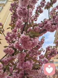 生活总会有低谷与迷茫，情绪也会有起伏与疲惫，但我们永远可以选择向阳而生。不必纠结过往遗憾，不必焦虑未知未来，慢慢和自己和解，接纳不完美的自己。心里存一份温柔，眼底藏一份热爱，好好生活，慢慢自愈。当内心盛满阳光，世间所有温柔与美好，都会奔赴而来。