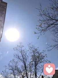 今天天气正好，阳光温柔，微风和煦。
万物明朗，一切都刚刚好。
生活向阳，日子温柔，
保持热爱，不负时光，心怀温柔，自在安然✨配图